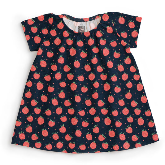 Lily Baby Dress - Raspberries Night Sky
