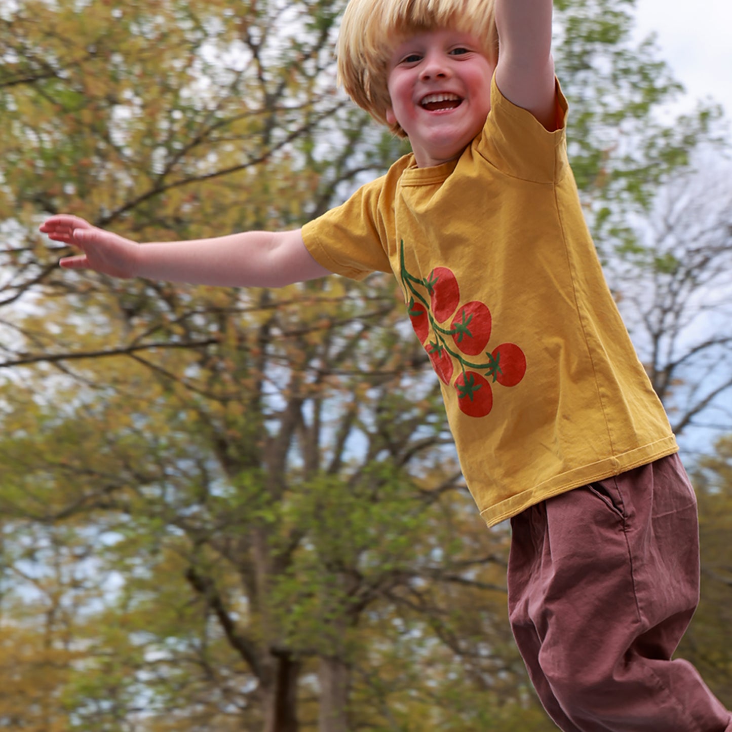 Short-Sleeve GRAPHIC Tee - Tomato Vine Ochre
