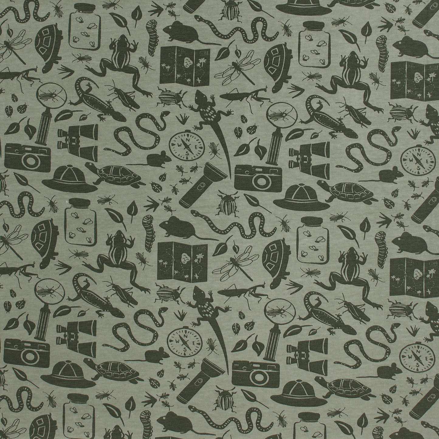 Long-Sleeve Lap Tee - Nature Explorer Sage & Forest Green