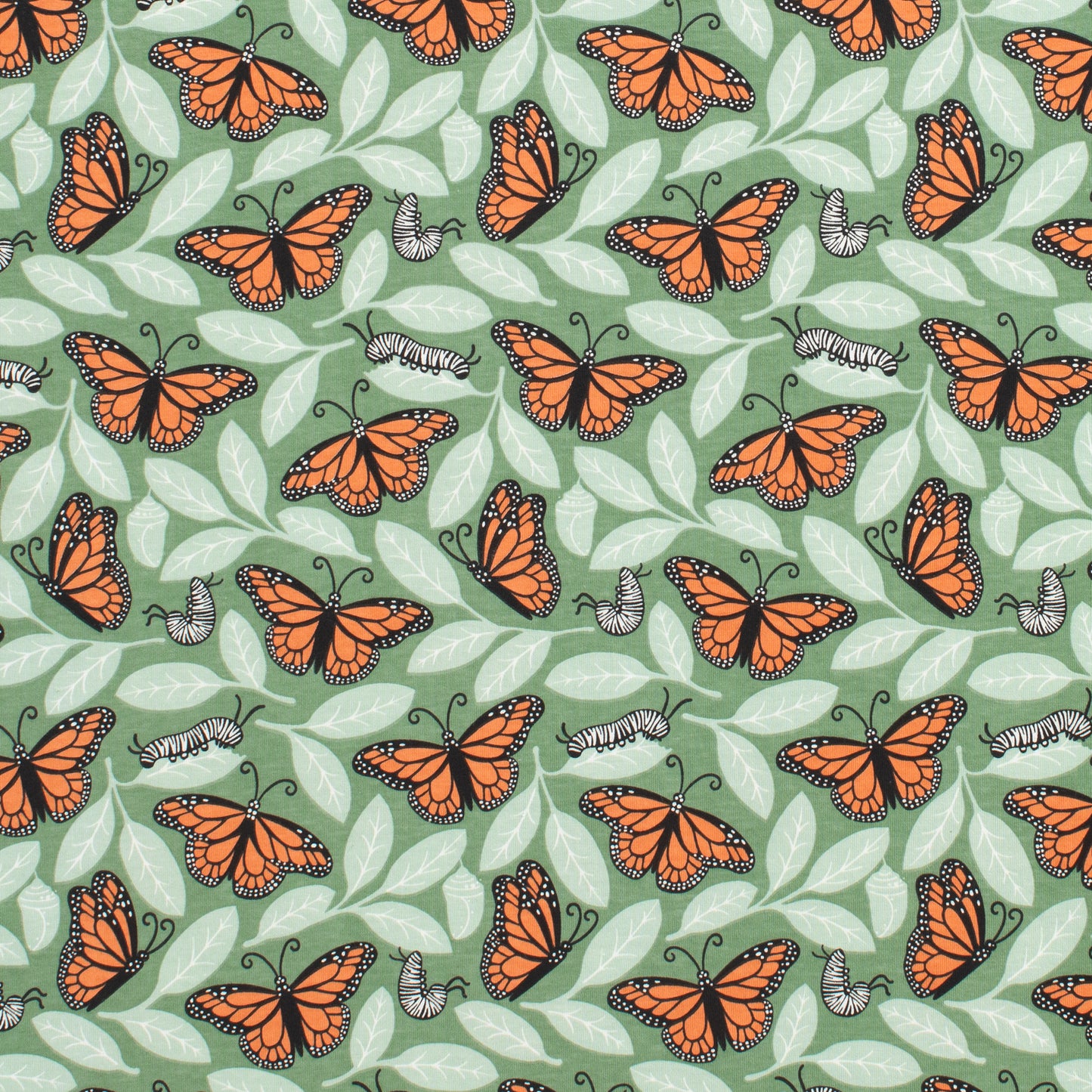 Bloomers - Monarchs Dark Green