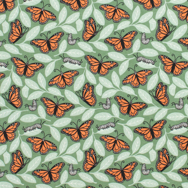MONARCHS