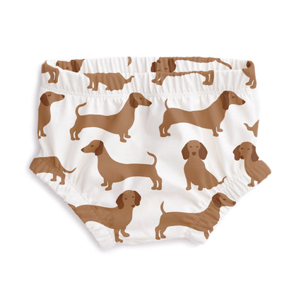 Bloomers - Dachshunds Brown