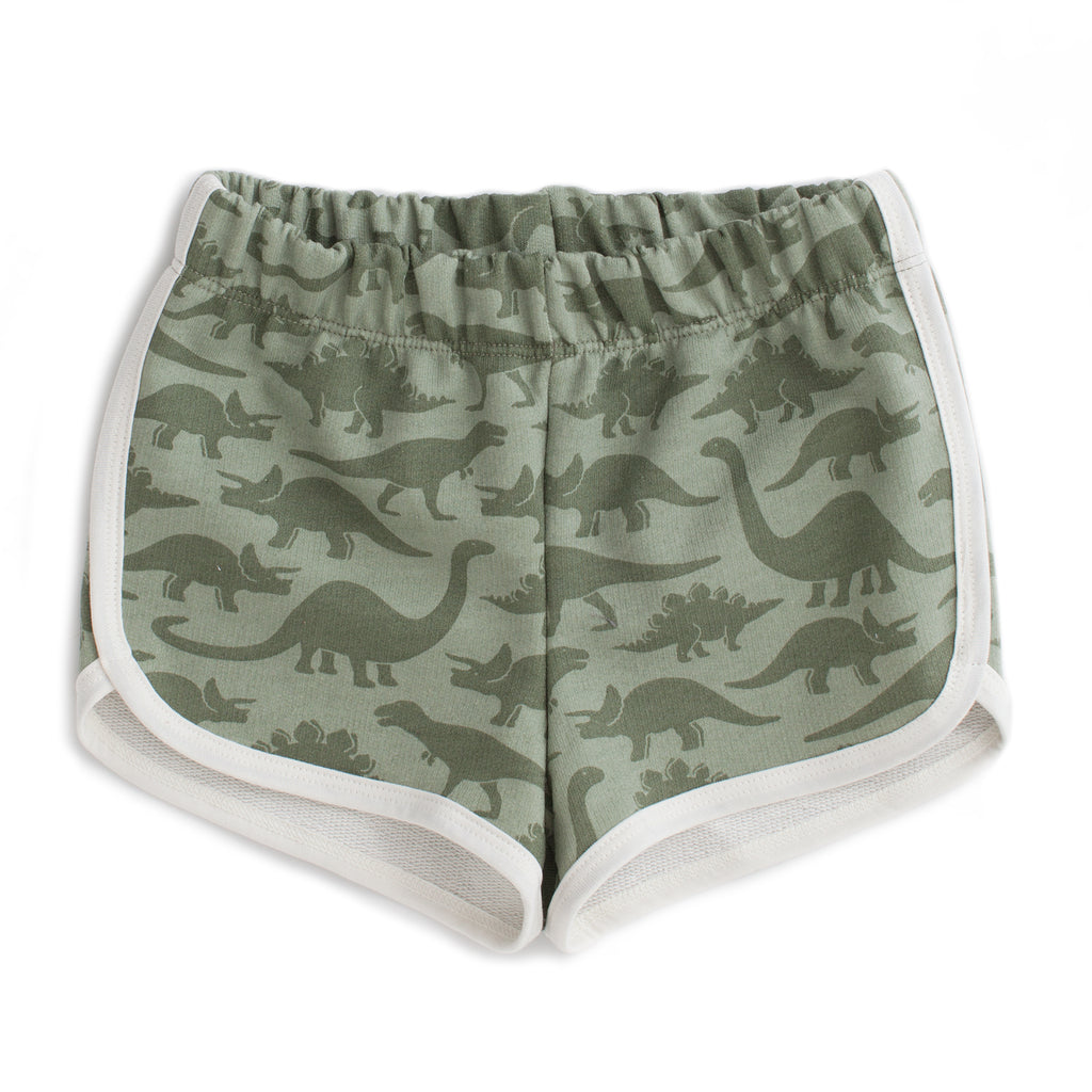 French Terry Shorts - Dinosaurs Sage