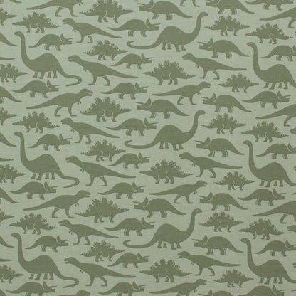French Terry Shorts - Dinosaurs Sage